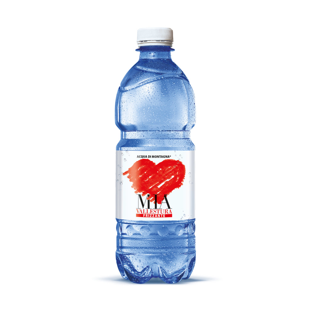 ACQUA MIA VALLESTURA FRIZZANTE 0,5 LT PET